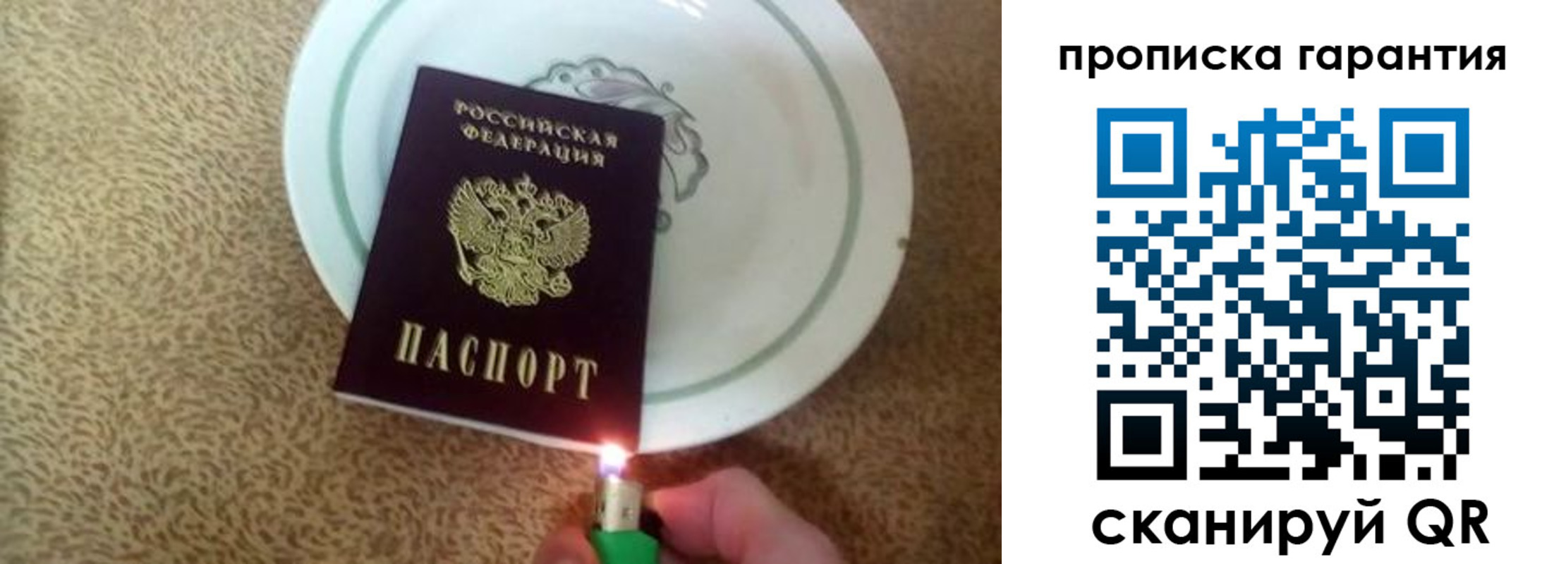прописка гарантия в Трубчевске